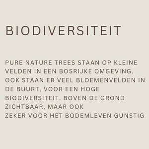 Global Nature Trees